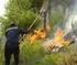 La Defensa contra Incendios Forestales en el Plan Forestal Español 1