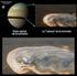 Las Grandes Manchas Blancas de Saturno