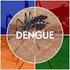 Definicion de Dengue: