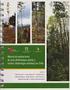 Manual de plantaciones de raulí (Nothofagus alpina) y coihue (Nothofagus dombeyi) en Chile