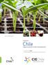 Invest in Chile Opportunities in the Food Industry Invierta en Chile Oportunidades en la Industria Alimentaria
