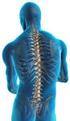 Dispositivos ortopédicos en cirugía espinal, el informe radiológico.