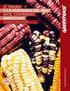 Informe final* del Proyecto FZ001 Estudio de la diversidad genética y su distribución de los maíces criollos y sus parientes silvestres en Michoacán