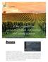 Diez propuestas para disfrutar del paisaje del viñedo riojano