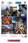 Descripción de la pesca artesanal con trasmallo en el Parque Natural Cap de Creus