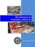 Microbiología del pescado y sus productos