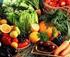 CONTENIDO I. NUTRIENTES ESCENCIALES Función de los elementos escenciales Deficiencias nutricionales... 5