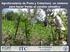 Conocimiento local de la cobertura arbórea en sistemas de producción ganadera en dos localidades de Costa Rica 1