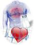 Riesgo cardiovascular e hipertensión arterial crónica en embarazadas. Cardiovascular risk and chronic hypertension in pregnant women