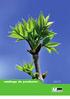 Catálogo Agro de. Fitofortificantes. Soluciones naturales para la producción y la protección vegetal