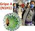 Pandemia por Influenza A H1N Características clínicas y epidemiológicas de los casos pediátricos en Paraguay