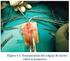 Uretroplastía: Experiencia del Servicio de Urología del Hospital Regional de Talca