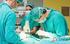 Servicio de Cirugía General Cirugía Oncológica de Cabeza y Cuello