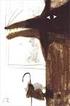 Caperucita Roja. Jacob y Wilhelm Grimm Ilustraciones de Emilio Urberuaga. Cuentos clásicos para leer y contar.