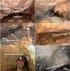 El karst y el hombre: Las cuevas como Patrimonio Mundial