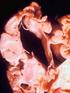 Prevalencia de toxoplasmosis en embarazadas, Hospital San Lucas en los años