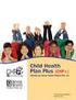 Introducción al informe del Resumen de beneficios De DENVER HEALTH MEDICARE CHOICE (HMO SNP) Enero 1, 2013 a diciembre 31, 2013 El Condado de Denver