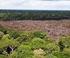 Fiscalización ambiental de deforestación en la Amazonía desde la perspectiva de next generation compliance