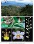 OBJETIVO Contribuir al conocimiento de la flora epífita del bosque mesófilo de Teipan.