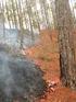 Impacto del fuego en la degradación física de dos suelos forestales en Galicia