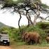 KENYA Y TANZANIA AL COMPLETO 14 Días. Safari Privado