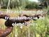 REACCIONES DE TRANSFERENCIA DE ELECTRONES: PROCESOS REDOX