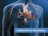 HDL y Cardiopatía Isquémica. Qué podemos hacer?