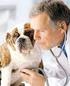 Responsabilidad social de la medicina de mascotas