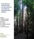 Silvicultura de las selvas de caoba en Quintana Roo, México: Criterios y recomendaciones