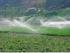 Riego Tecnificado para uso más eficiente del agua en la agricultura