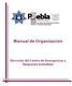 Manual de Organización. Dirección del Centro de Emergencias y Respuesta Inmediata