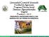 Universidad Central de Venezuela Facultad de Agronomía Programa Director Inicial Sistemas Agroambientales Vegetal Practica