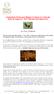 Costumbres Chinas para Mejorar tu Suerte en el Año del Gallo de Fuego yin (Rituales Año Nuevo) por Laura Maldonado