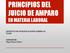 PRINCIPIOS DEL JUICIO DE AMPARO
