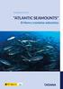 Expedición 2014 ATLANTIC SEAMOUNTS. El Hierro y montañas submarinas. Pez transparente (Dolichopteryx longipes) OCEANA. OCEANA/ Carlos Minguell