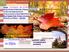Programa: Jornadas de otoño en el Bosque de la Santa Espina