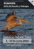 Spainbirds Nature Tours 3-10 de Junio RUMANÍA Delta del Danubio y Dobrogea CICMA 2517