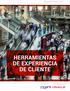 RESUMEN EJECUTIVO HERRAMIENTAS DE EXPERIENCIA DE CLIENTE