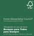 Forest Stewardship Council Plan Estratégico Global
