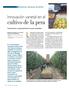 ESPECIAL FRUTALES DE PEPITA. Innovación varietal en el. cultivo de la pera. Características y comportamiento de nuevas variedades