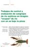 Trabajos de control y evaluación de cangrejos de río exóticos en Aragón: ocupas de río con un as bajo la pinza