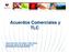 Acuerdo de Complementación. Tratado de Libre Comercio Unión Aduanera (Ej. UE, Mercosur) Unión Monetaria (Ej. UE y el Euro)