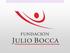 UNICO PROGRAMA ITINERANTE OFICIAL DE LA FUNDACION JULIO BOCCA