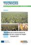 Resultados de la red de ensayos de variedades de maíz y girasol en Aragón. Campaña Núm. 233 Año 2012