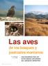 Las aves. de los bosques y pastizales montanos UNA RECORRIDA POR LOS SITIOS MENOS EXPLORADOS DEL NOROESTE ARGENTINO