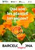 Què són les plantes invasores?