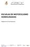 ESCUELAS DE MOTOCICLISMO HOMOLOGADAS. Reglamento de Funcionamiento
