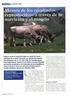 os resultados reproductivos de la vaca nodriza están condicionados, principalmente, por los efectos de la nutrición y el amamantamiento,
