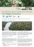 Monitoreo de la Cobertura Forestal en la Región Amazónica