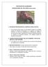 PROTECCIÓN DE COLMENARES: INTERACCIONES DEL OSO PARDO (Ursus arctos),